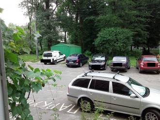 IMG00305.jpg