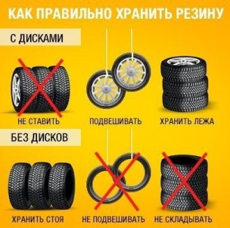 _Alt9v816Po.jpg