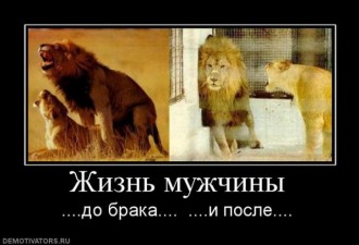 608396a0b75da2328669fa05e7a8743b.jpg