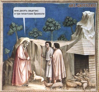 p9.jpg