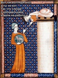 p17.jpg