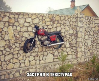 застряг в паркані.jpg