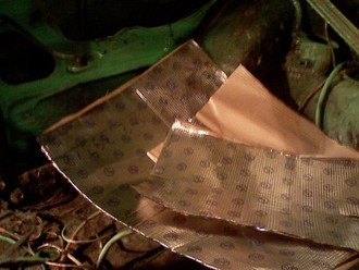 P01-12-08_20.39.jpg