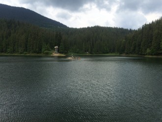 IMG_0590.JPG