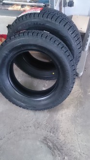 DSC_1246.JPG