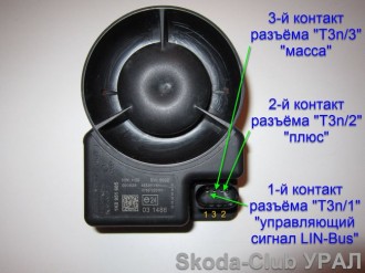 4980.jpg