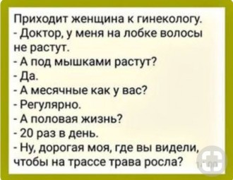 траса.jpg
