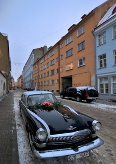 DSC_0066-v.jpg