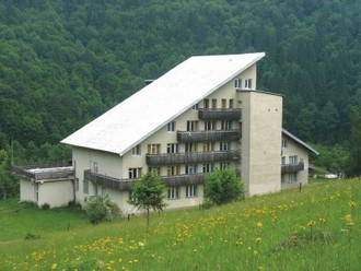 231.jpg