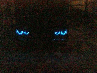 Cam001141.JPG