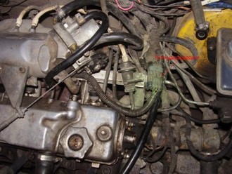 PB220406.JPG