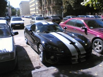 Viper.jpg
