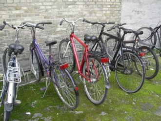 DSCN8610.JPG