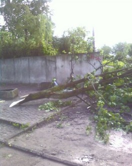 Photo-0004.jpg
