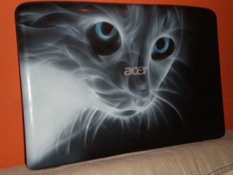 cat acer.jpg