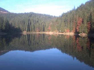 P10-12-08_09.14.jpg