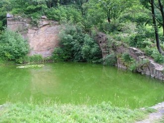 P6120230.JPG