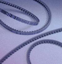 img17.jpg