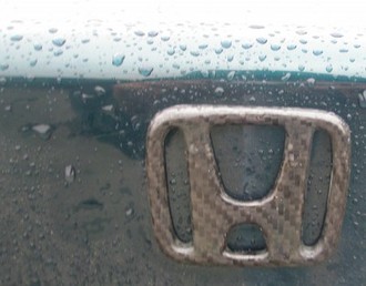 PB090049.jpg