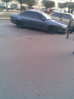 Зобр006.jpg