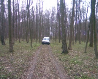 Зобр079.jpg