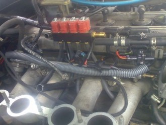 08052011380.jpg
