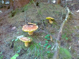 21082011047.jpg