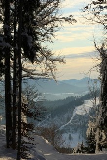 IMG_4175.jpg