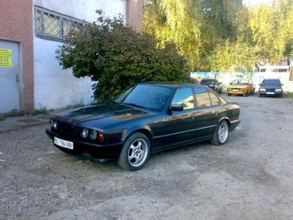 88ce61c8d33cfeda-large.jpg
