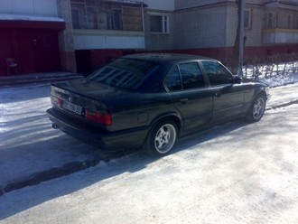 48cead4e0125961b-large.jpg
