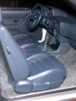 DSCN4785.jpg