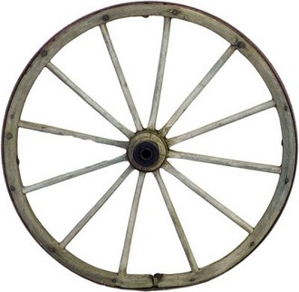 prim0005_2.jpg