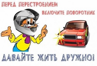 дружно.jpg