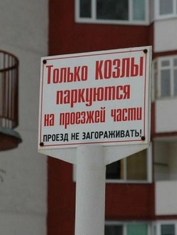 46c0dd7a8db40.jpg