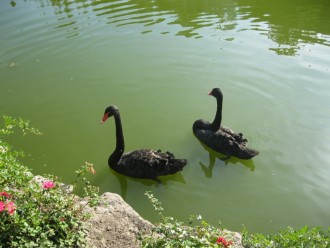 IMG_0998.JPG