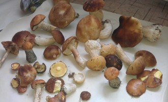 IMAG0593.jpg