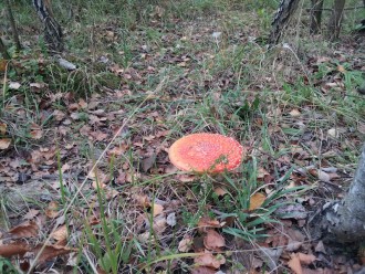 2012-10-01 11.43.44.jpg