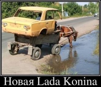 таз.jpg