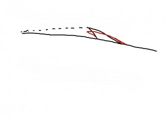 Image1.jpg