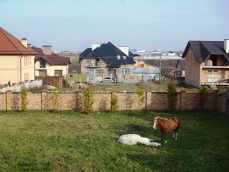 PB020272.JPG