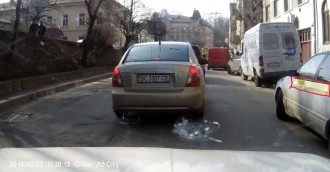 охорона львова3.jpg