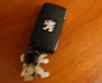 DSCF0080.JPG