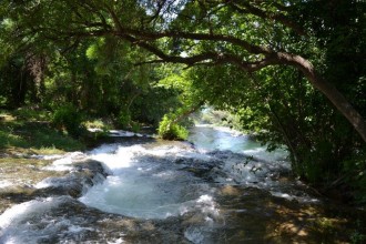 DSC_0256.jpg