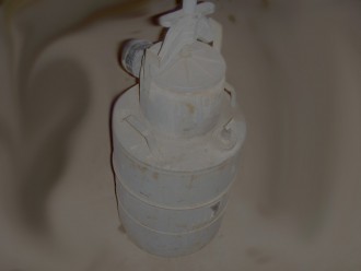 4183729159.jpg