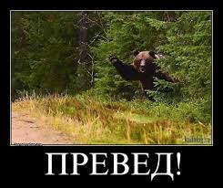 images.jpg